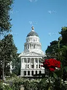 db官网官方注册-萨克拉门托国王训练开放日，国际比赛日迎来里程碑引欢呼，足总杯在即，年轻球员得到机会